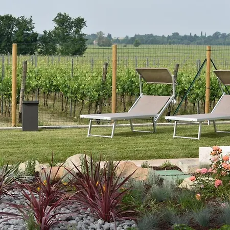 Bed & Breakfast Il Vigneto 3*