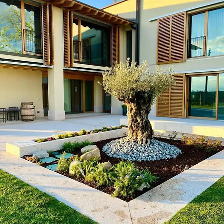 Bed & Breakfast Il Vigneto 3*
