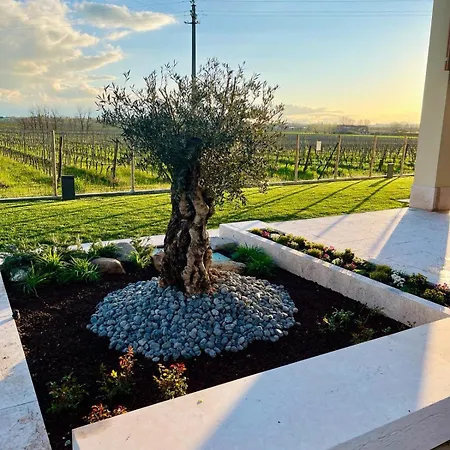 Bed & Breakfast Il Vigneto 3*