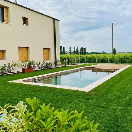 Il Vigneto
