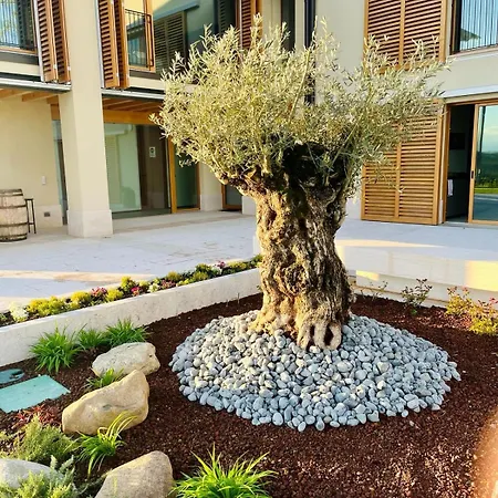 Oda ve Kahvaltı Il Vigneto 3*