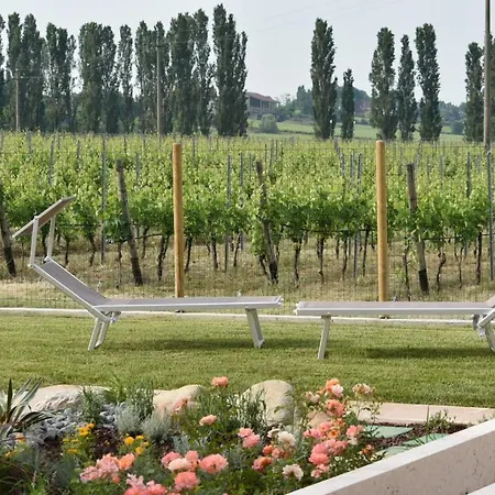 Il Vigneto Bed & Breakfast