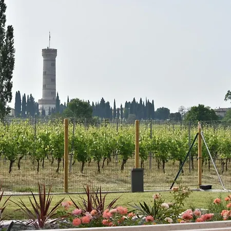 Il Vigneto Bed & Breakfast