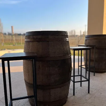 Il Vigneto Nocleg ze śniadaniem Desenzano del Garda