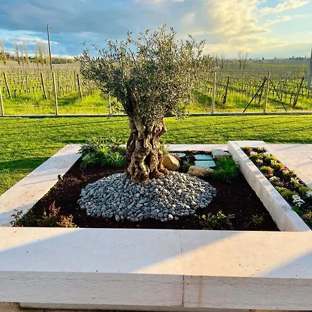 Bed & Breakfast Il Vigneto