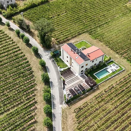 Il Vigneto