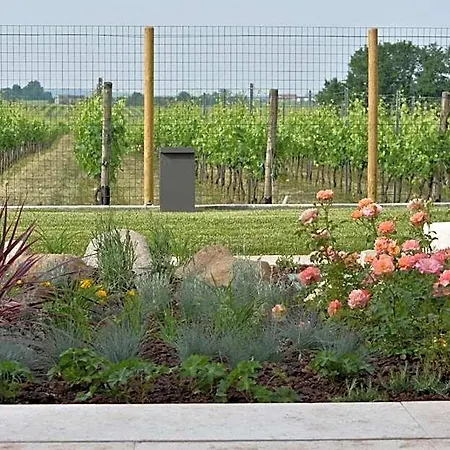 Il Vigneto Bed and Breakfast 4*