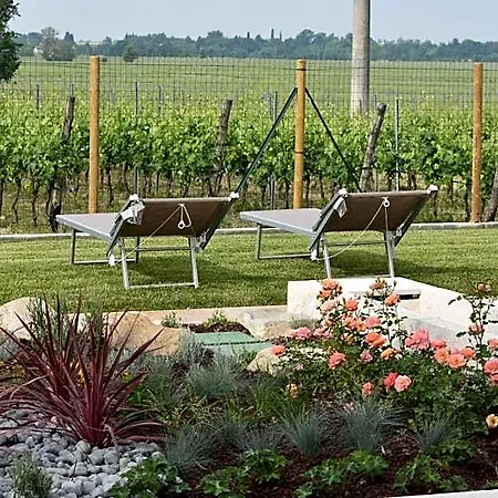 Bed and Breakfast Il Vigneto