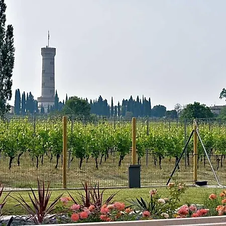 Bed and Breakfast Il Vigneto 4*