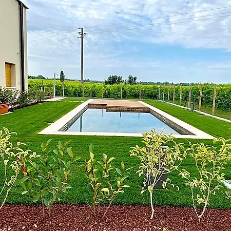 Il Vigneto