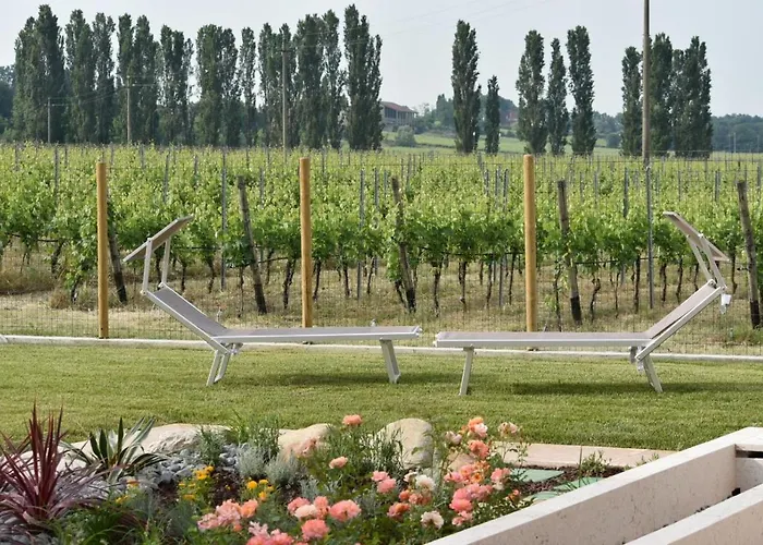 Il Vigneto Bed & Breakfast