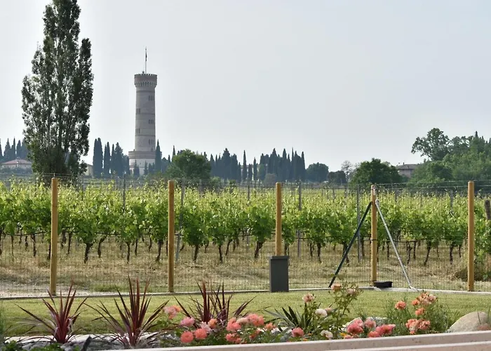 Il Vigneto Bed & Breakfast