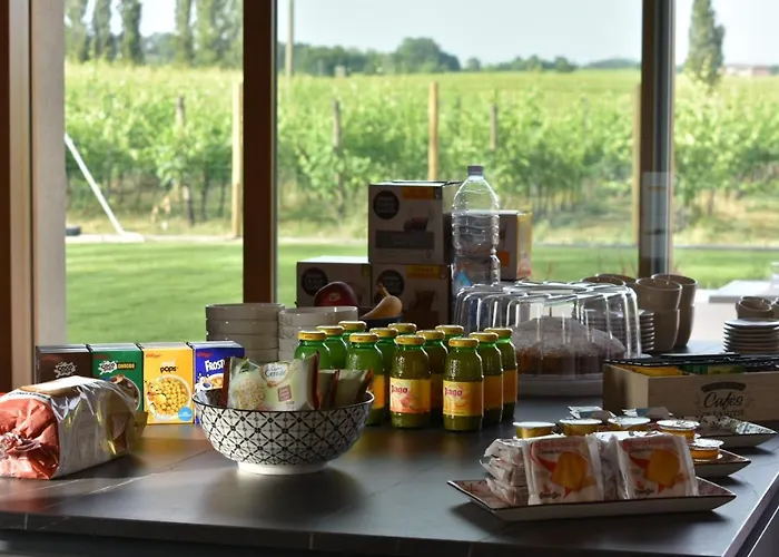 Bed & Breakfast Il Vigneto 3*