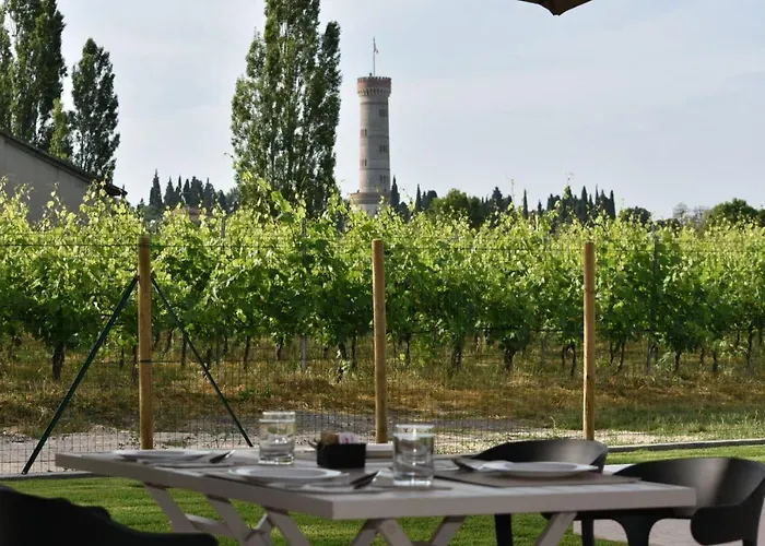 Bed & Breakfast Il Vigneto 3*