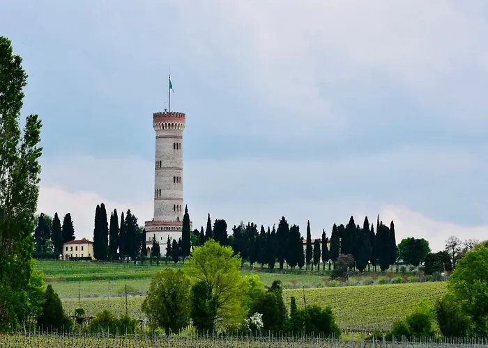 Bed & Breakfast Il Vigneto