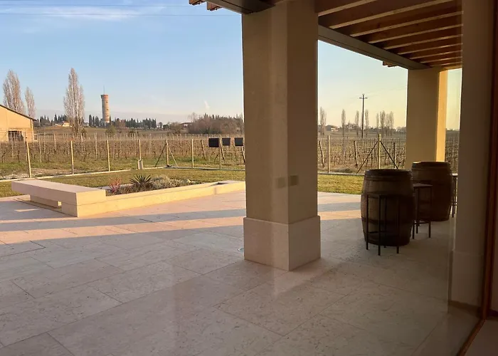 Il Vigneto