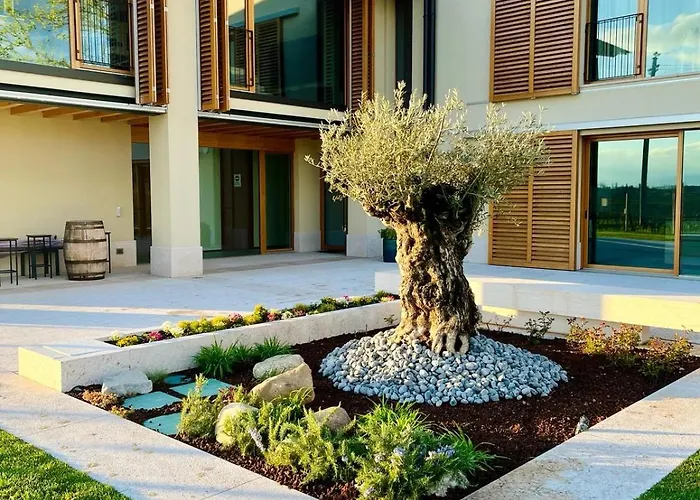 Bed & Breakfast Il Vigneto 3*