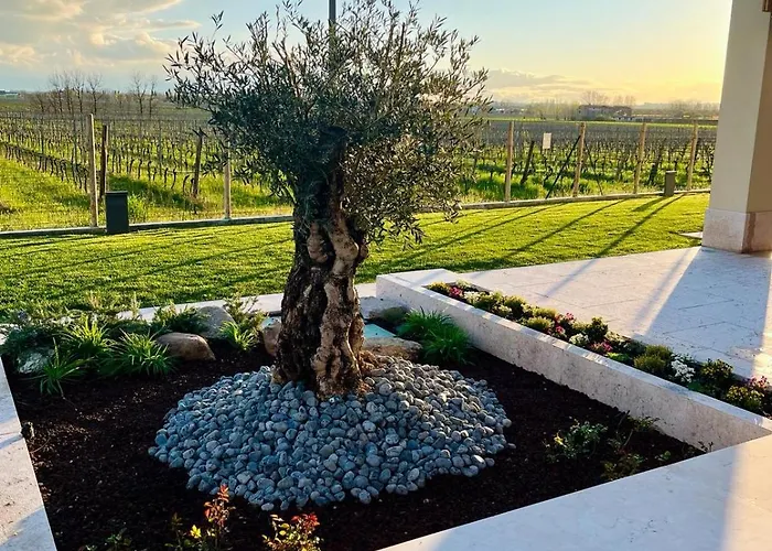 Bed & Breakfast Il Vigneto 3*