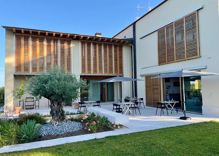 Bed & Breakfast Il Vigneto 3*