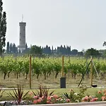 Il Vigneto Bed and breakfast