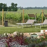 Bed and breakfast Il Vigneto 3*