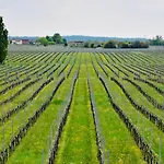 Bed and breakfast Il Vigneto 3*