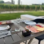 Il Vigneto 3*