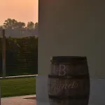 Bed and breakfast Il Vigneto
