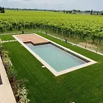 Il Vigneto Bed and breakfast