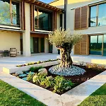 Bed and breakfast Il Vigneto 3*