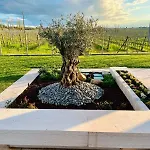 Bed and breakfast Il Vigneto