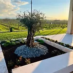 Bed and breakfast Il Vigneto 3*