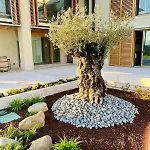 Bed and breakfast Il Vigneto 3*