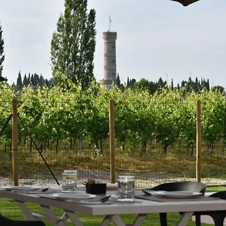 Nocleg ze śniadaniem Il Vigneto 3*
