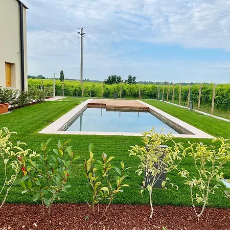 Il Vigneto Bed and breakfast