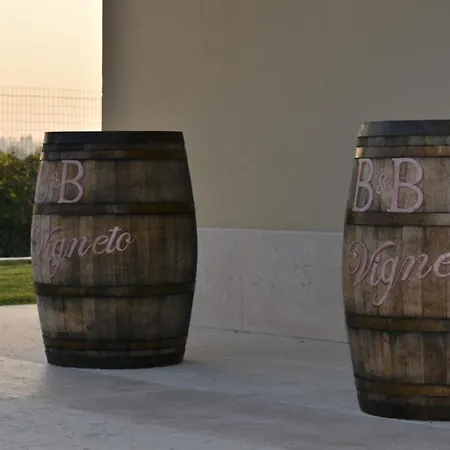 Il Vigneto Bed & Breakfast *