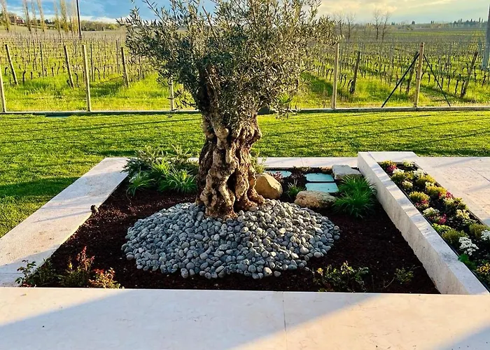 Oda ve Kahvaltı Il Vigneto